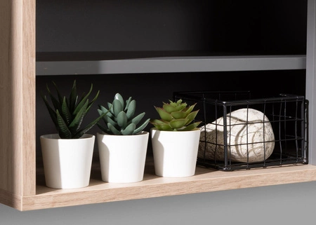 Regál Estan 140 cm dub estan světlý / antracitový moderní designový nábytek vysoce kvalitní hrany regálu se speciální dýhou