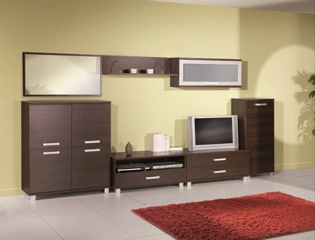 Zrcadlo Maximus 100x50 cm kaštan wenge moderní a funkční dekorativní zrcadlo