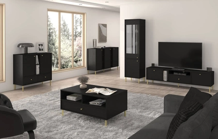 Nábytková sestava Kioto II do obývacího pokoje černá grafitová stylový design elegantní nábytek obohacený zlatými vysokými nohami