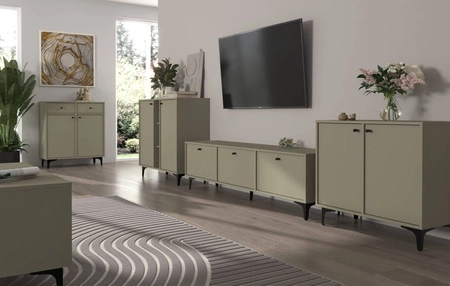 RTV skříň Kioto I 121 cm eukalyptus elegantní skříň s dvířky otevíranými dolů tlumené barvy černé doplňky