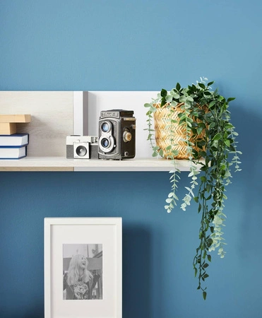 Police Remona 120 cm dub wilton bílá / bílá / antracit pro milovníky výrazných interiérů vizuálně atraktivní a funkční