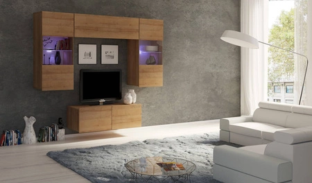 Apulia 100 cm dub zlatý RTV skříňka s možností zavěšení minimalistický design jednoduchý tvar zapadající do každého interiéru