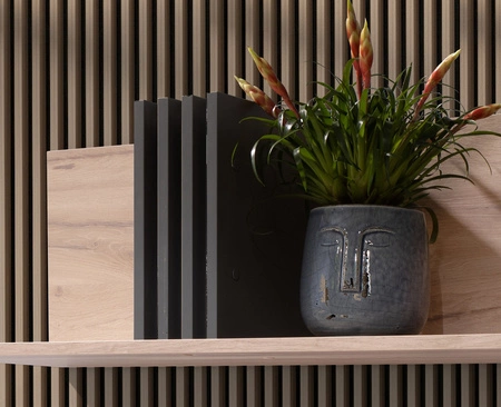 Regál Estan 140 cm dub estan světlý / antracitový moderní designový nábytek vysoce kvalitní hrany regálu se speciální dýhou